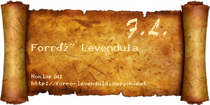 Forró Levendula névjegykártya